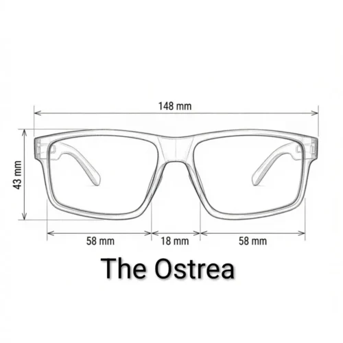 The Ostrea